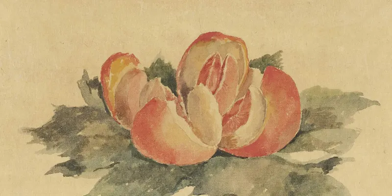 Foto der Einrichtung Kunsthalle Bremen