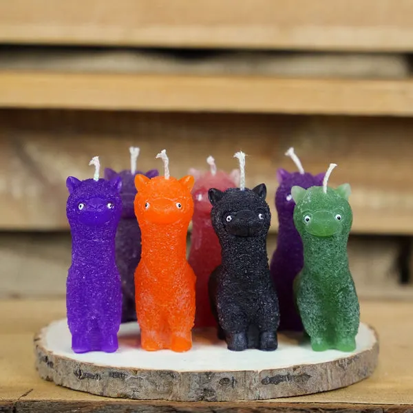 Bunte Kerzen aus der Kerzenwerkstatt Dresden.