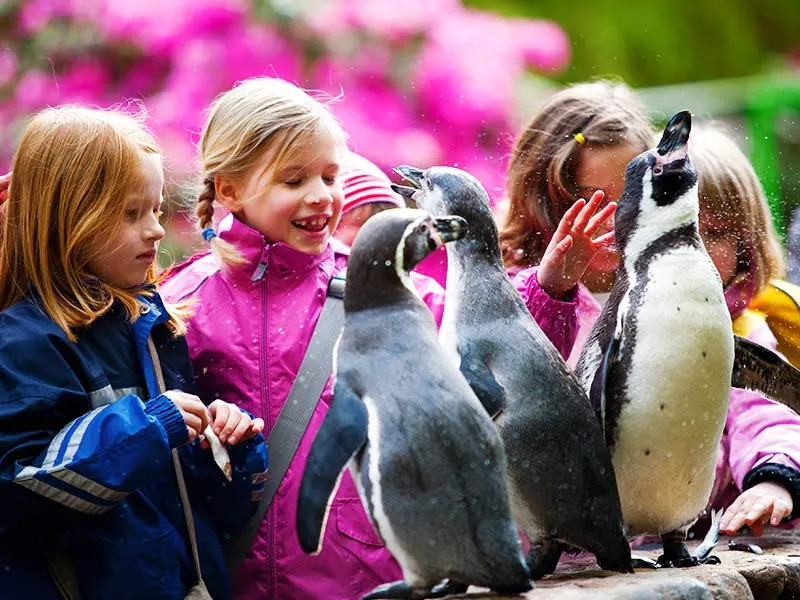 Foto der Einrichtung Weltvogelpark Walsrode
