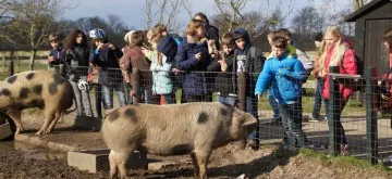 Arche Warder in Warder
